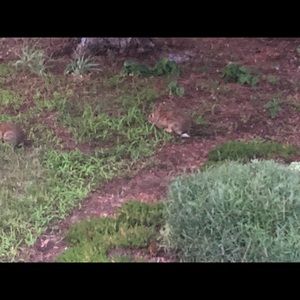 Meet your Posher, Isabelle